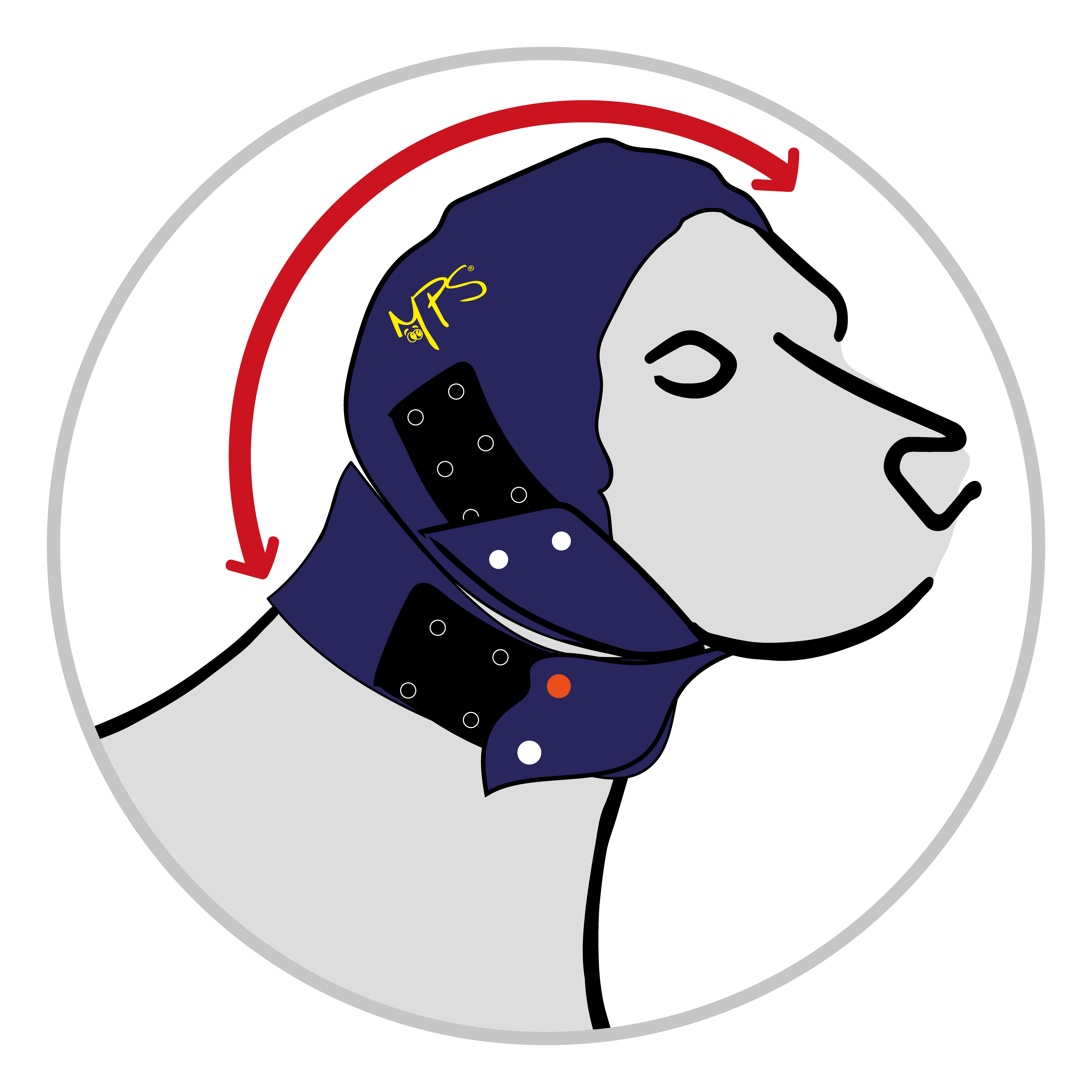 Lunghezza testa - colletto